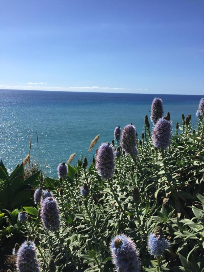 Calheta Ocean View Family Apartment - Air Condition Estreito Da Calheta Esterno foto